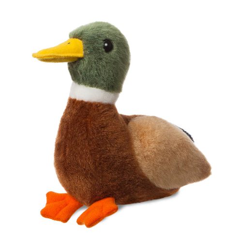 Mini Flopsies Mallard Duck 8in