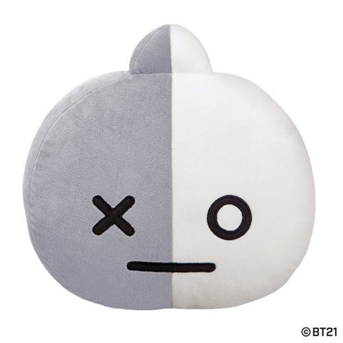 BT21 VAN Cushion 11In