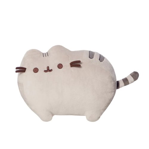 Classic Pusheen 9.5In