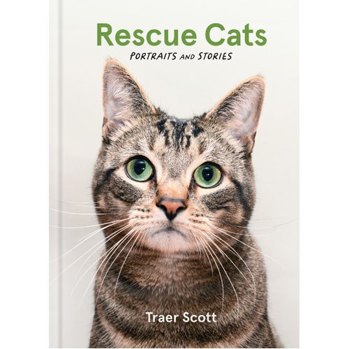 Rescue Cats