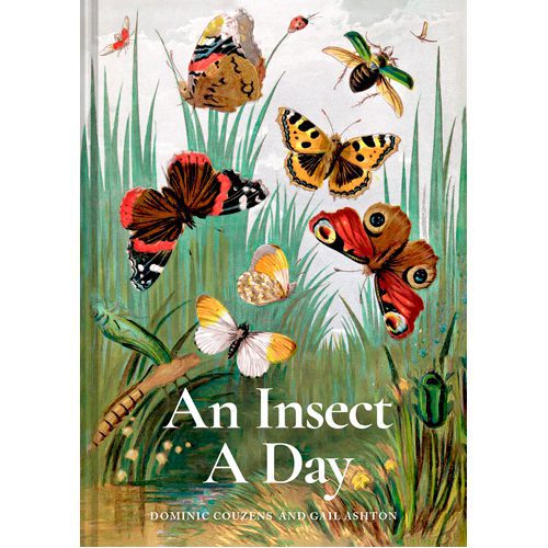 An Insect A Day - Hardback