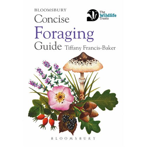 Concise Foraging Guide - Paperback