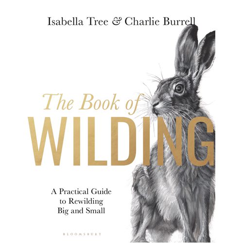 Book of Wilding: A Practical Guide to Rewilding Big and Small - Paperback