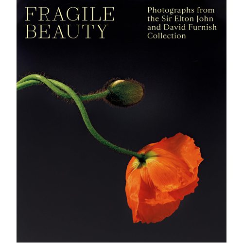 Fragile Beauty: Photographs from the Sir Elton John and David Furnish Collection (the Official V&A Exhibit - Paperback