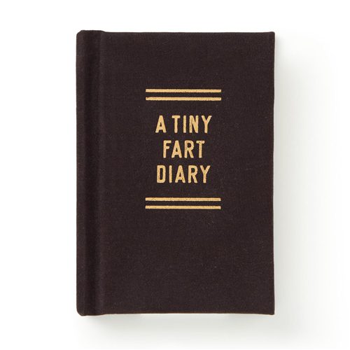 A Tiny Fart Diary - Paperback