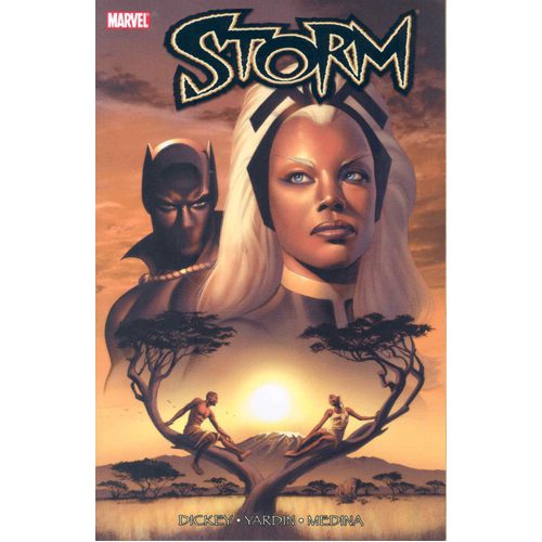 Storm - Paperback