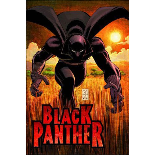 Black Panther: Who is the Black Panther - Paperback