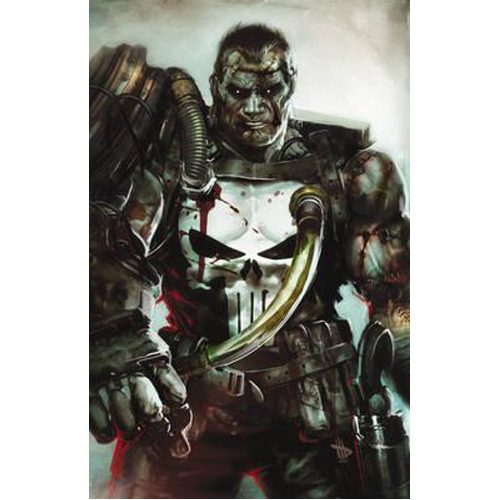 Punisher: Franken-Castle - Hardback