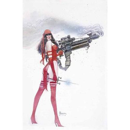 Elektra: Assassin - Hardback