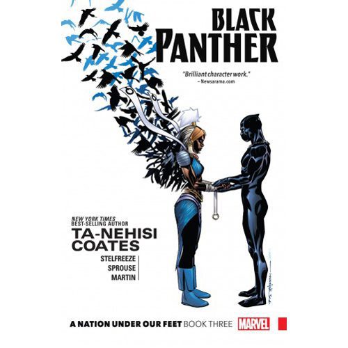 Black Panther: A Nation Under Our Feet Book 3 - Paperback