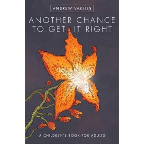 Another Chance to Get it Right - Hardback